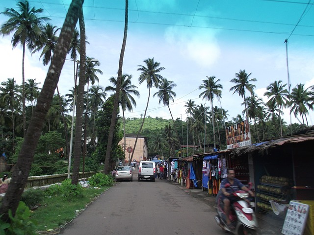 Beyond the Beach: Goa’s Hidden Gems