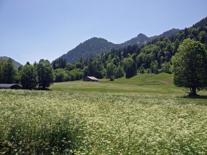 Esprit Montagne, La Chapelle-d'Abondance
