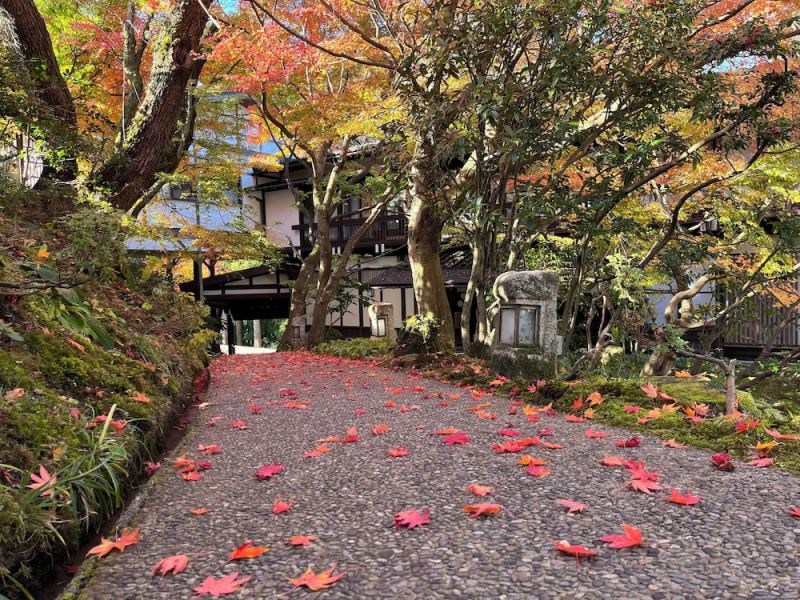 WATAYA, Hakusan