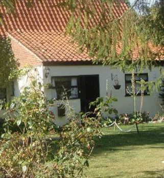 The Vines B&B, Thetford