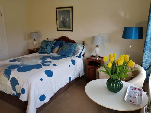 Cul Draiochta B&b, Cahirciveen