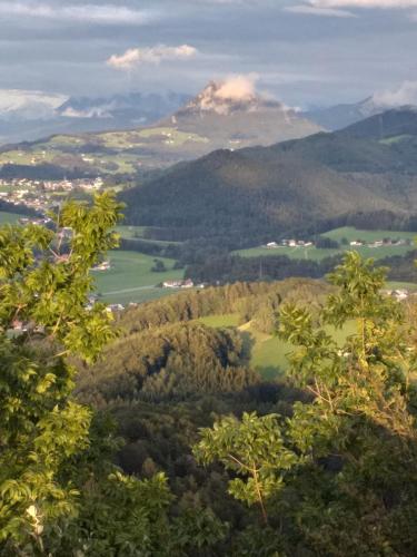 Pension Waldhof, Koppl