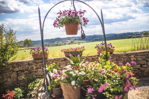 Tenuta Armaiolo, Rapolano Terme