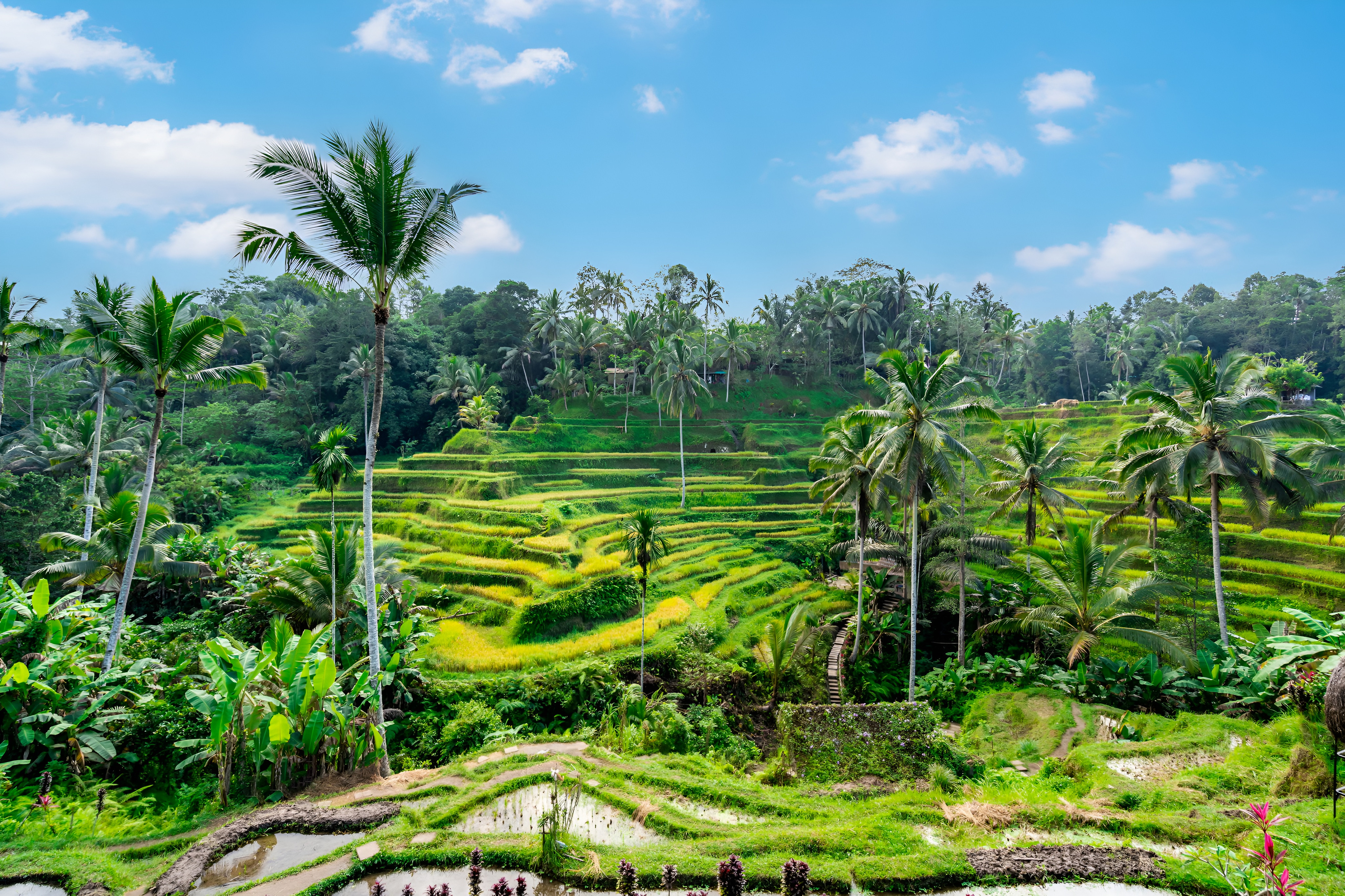 Bali Culture & Adventure