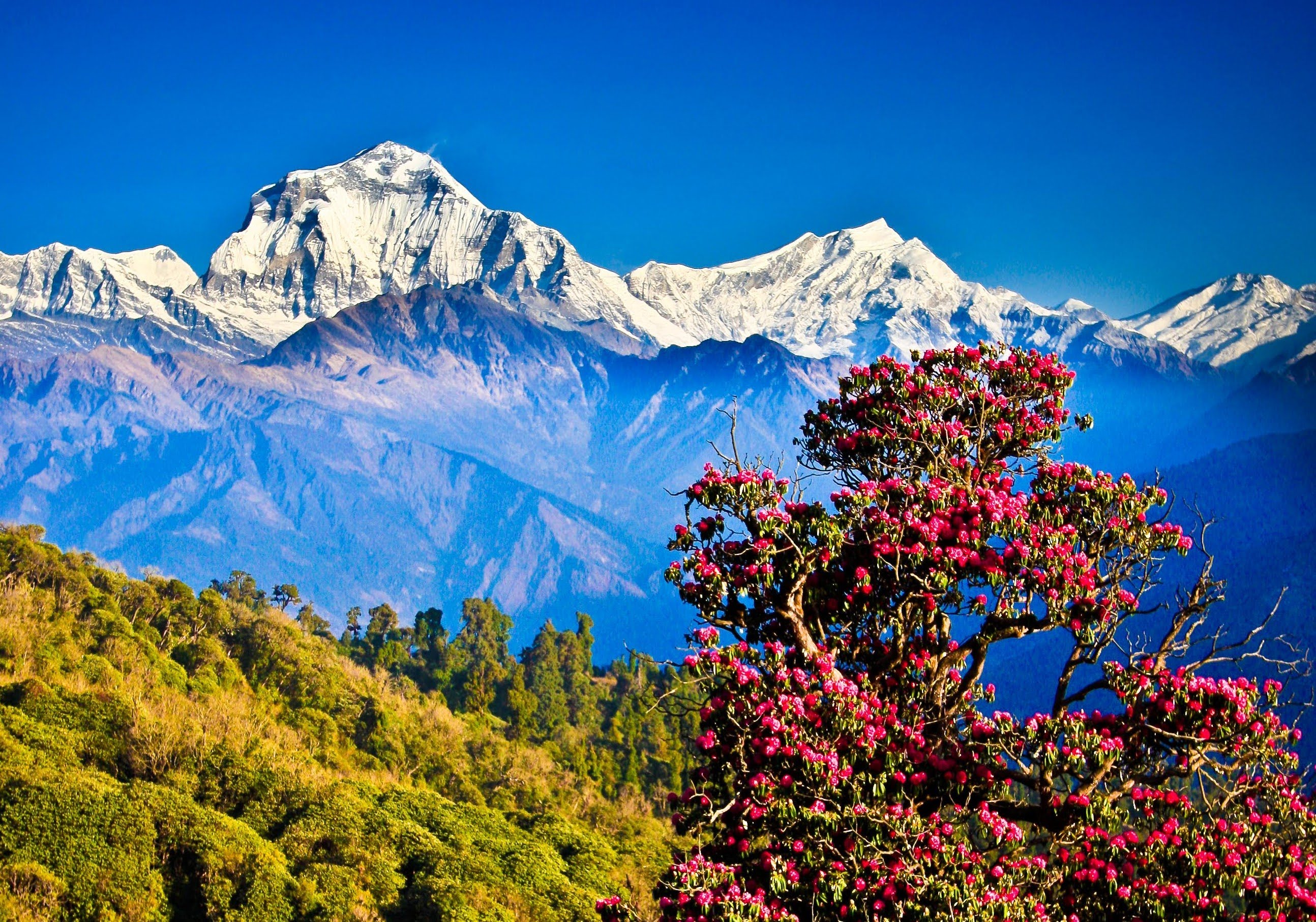 Nepal Himalayan Adventure